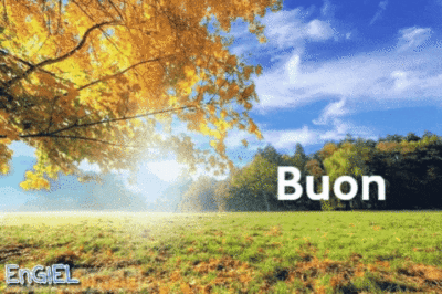 Gif Buon Mercoledi