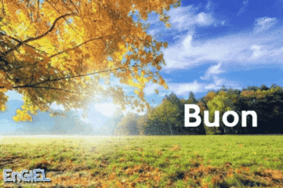 GIF Buon Venerdi