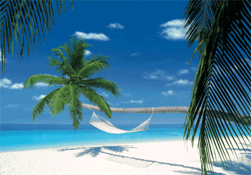 GIF Amaca e mare
