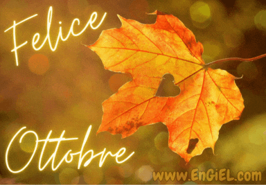 GIF Felice 30 ottobre